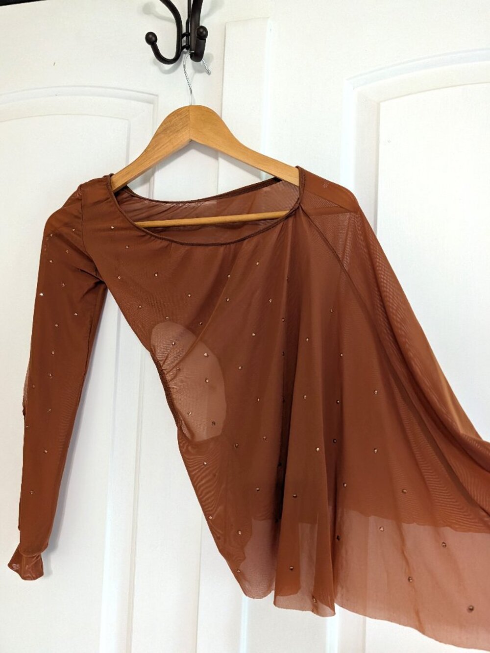 Brown Lyrical Costume Sheer and Velvet